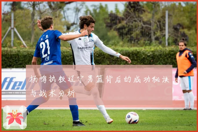 杨鸣执教辽宁男篮背后的成功秘诀与战术分析