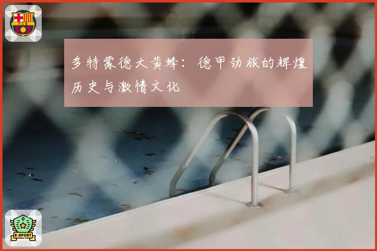多特蒙德大黄蜂：德甲劲旅的辉煌历史与激情文化
