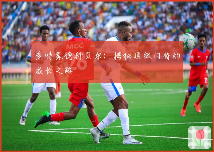 多特蒙德科贝尔：揭秘顶级门将的成长之路