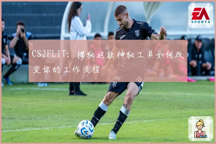 CS2FL1T：揭秘这款神秘工具如何改变你的工作流程